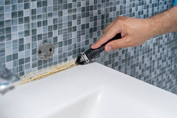 Best Fast Mold Removal  in Kalispell, MT