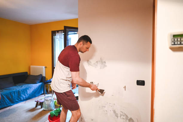 Best Local Mold Removal Service  in Kalispell, MT